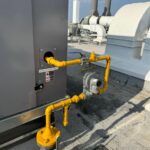 WhatsApp Image 2025-04-16 at 9.02.16 AM (1)